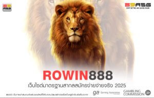 ROWIN888